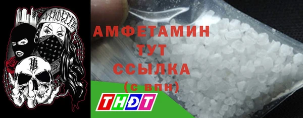 шишки Ельня