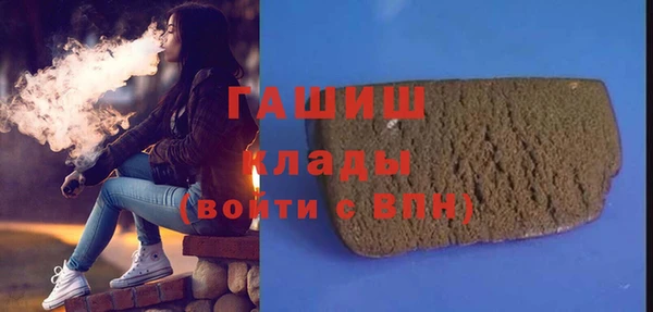 шишки Ельня