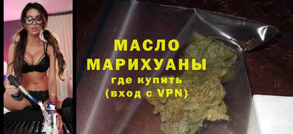 шишки Ельня