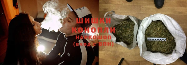 шишки Ельня