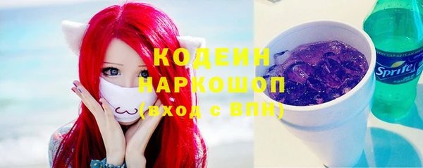 шишки Ельня