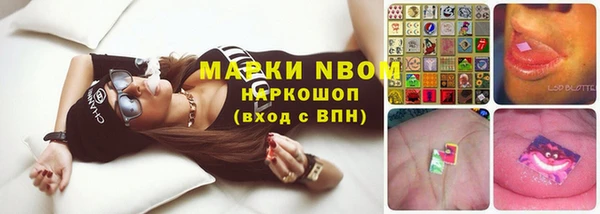 сатива Елизово