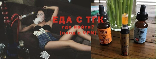 шишки Ельня