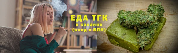 шишки Ельня