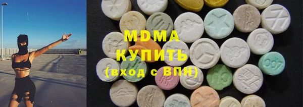 шишки Ельня