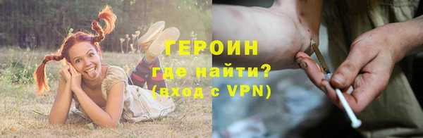 шишки Ельня