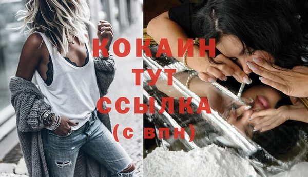 шишки Ельня