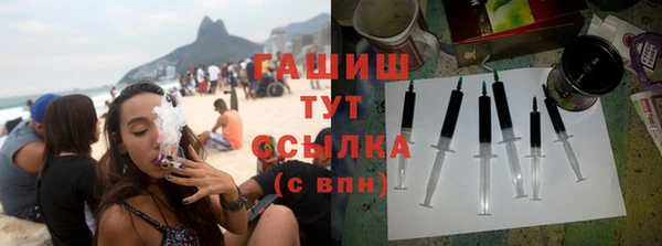 сатива Елизово