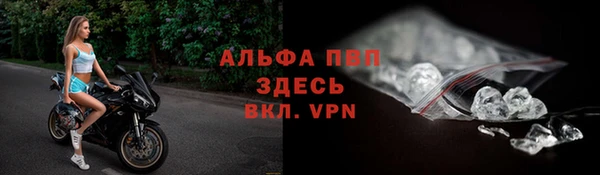 сатива Елизово