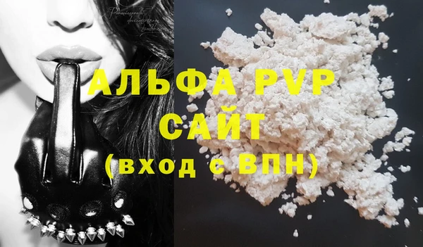 шишки Ельня