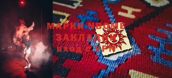 шишки Ельня