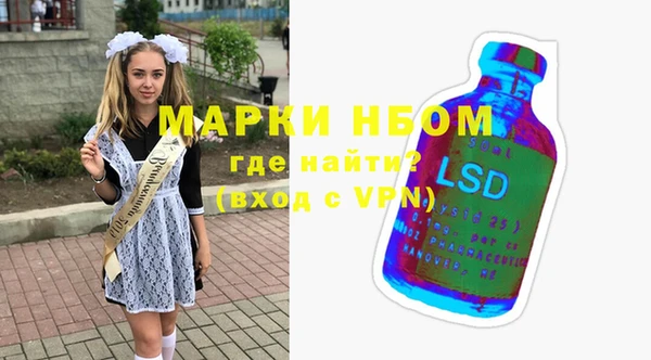 сатива Елизово