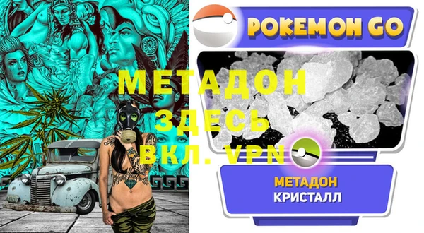 шишки Ельня