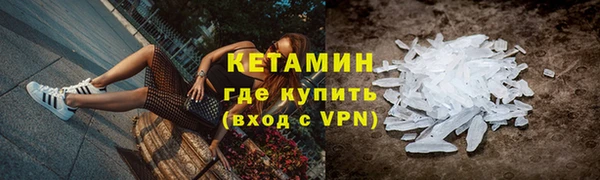 шишки Ельня