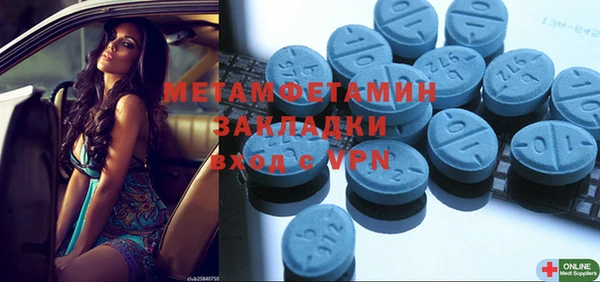 шишки Ельня