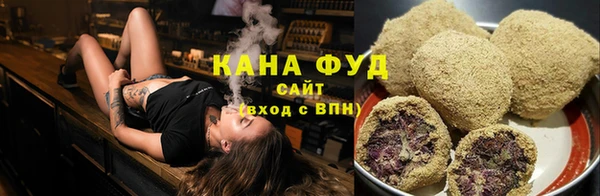 шишки Ельня
