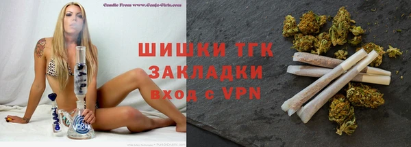 шишки Ельня
